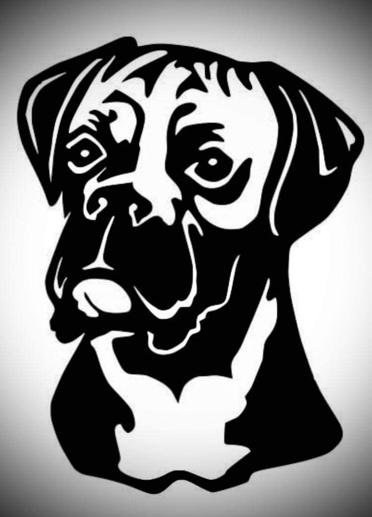 Boxer Dog Head 2