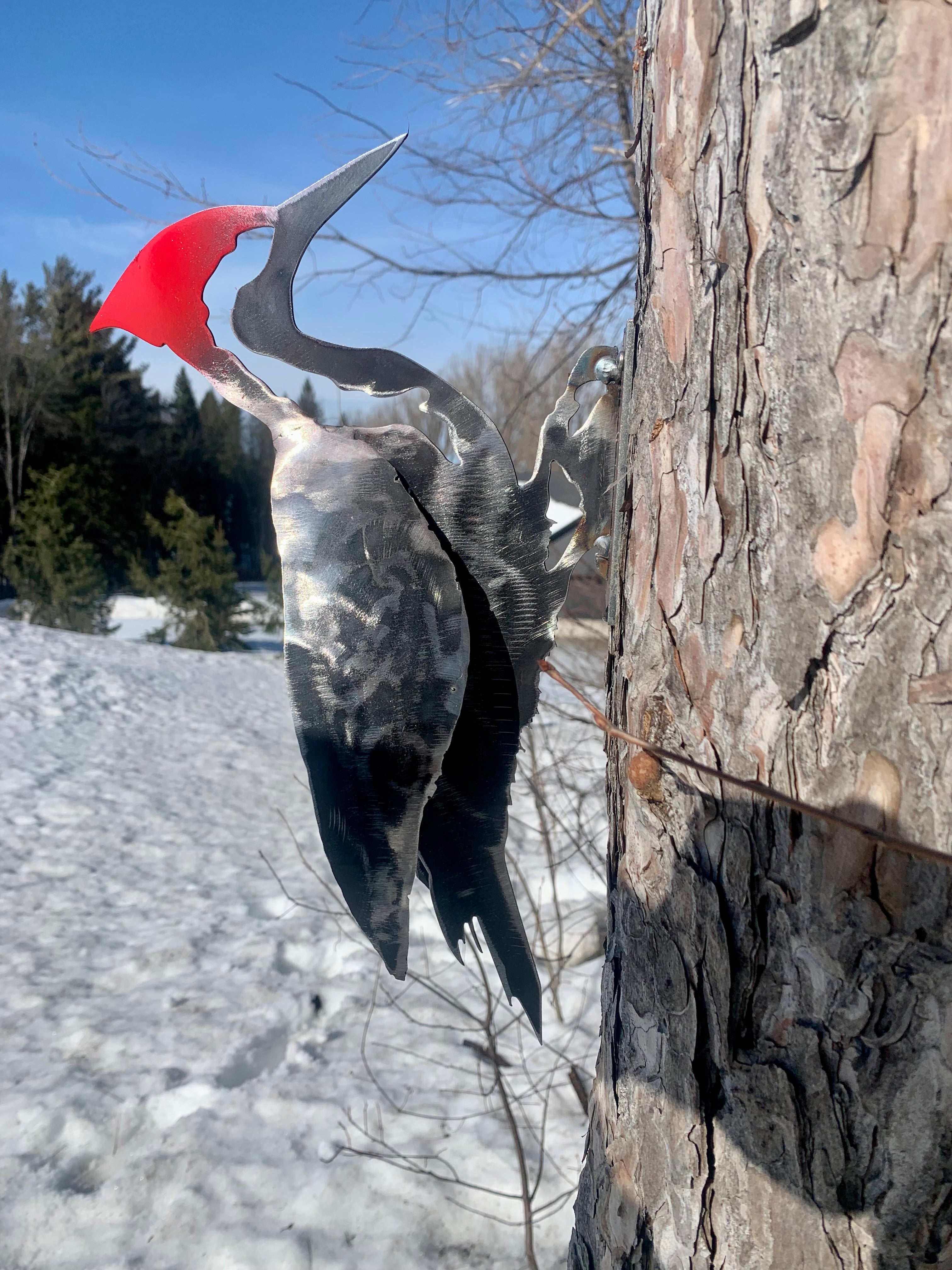 Woodpecker (3D)