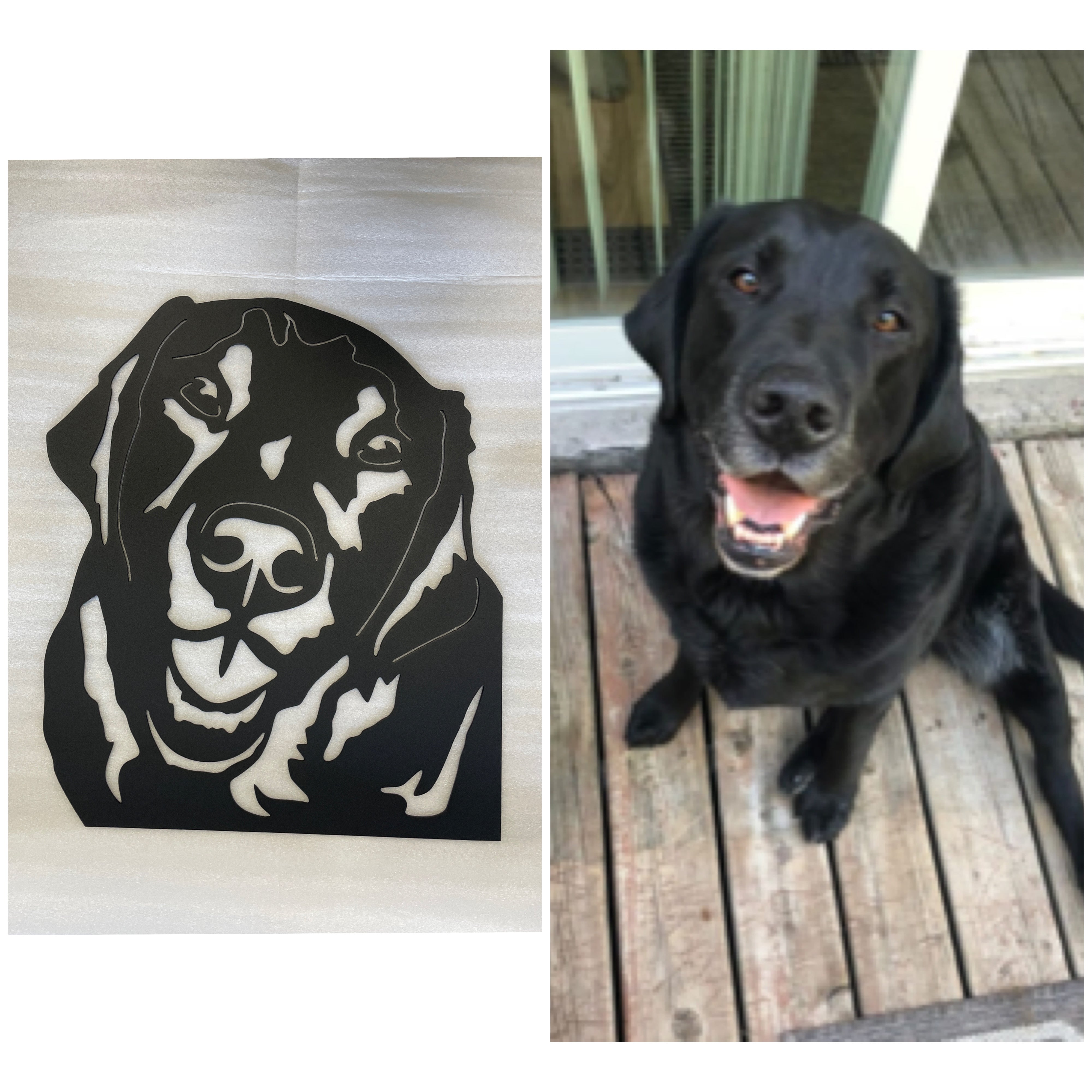 Custom Dog or Cat Head