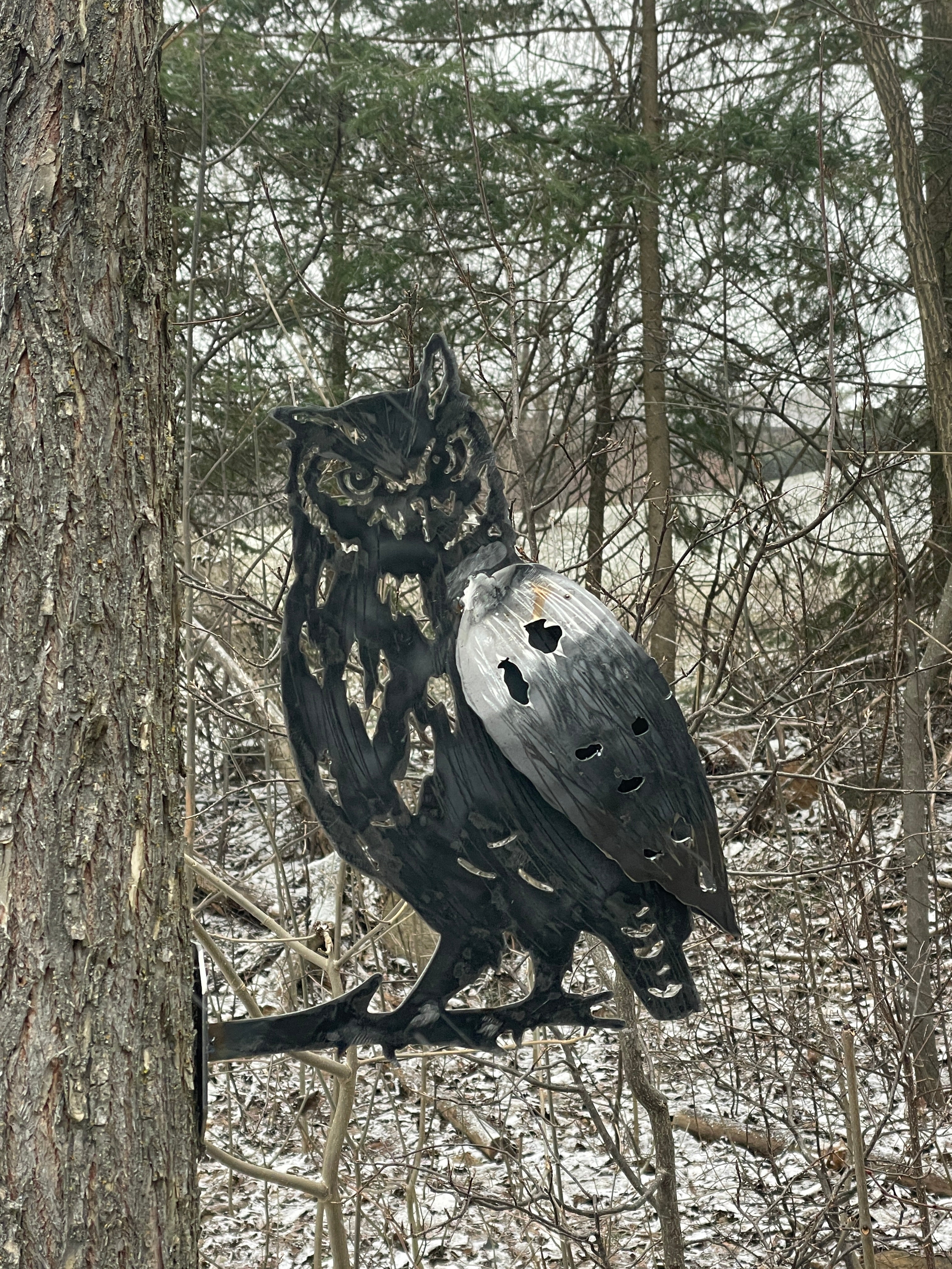 Great Horned Owl - 3D