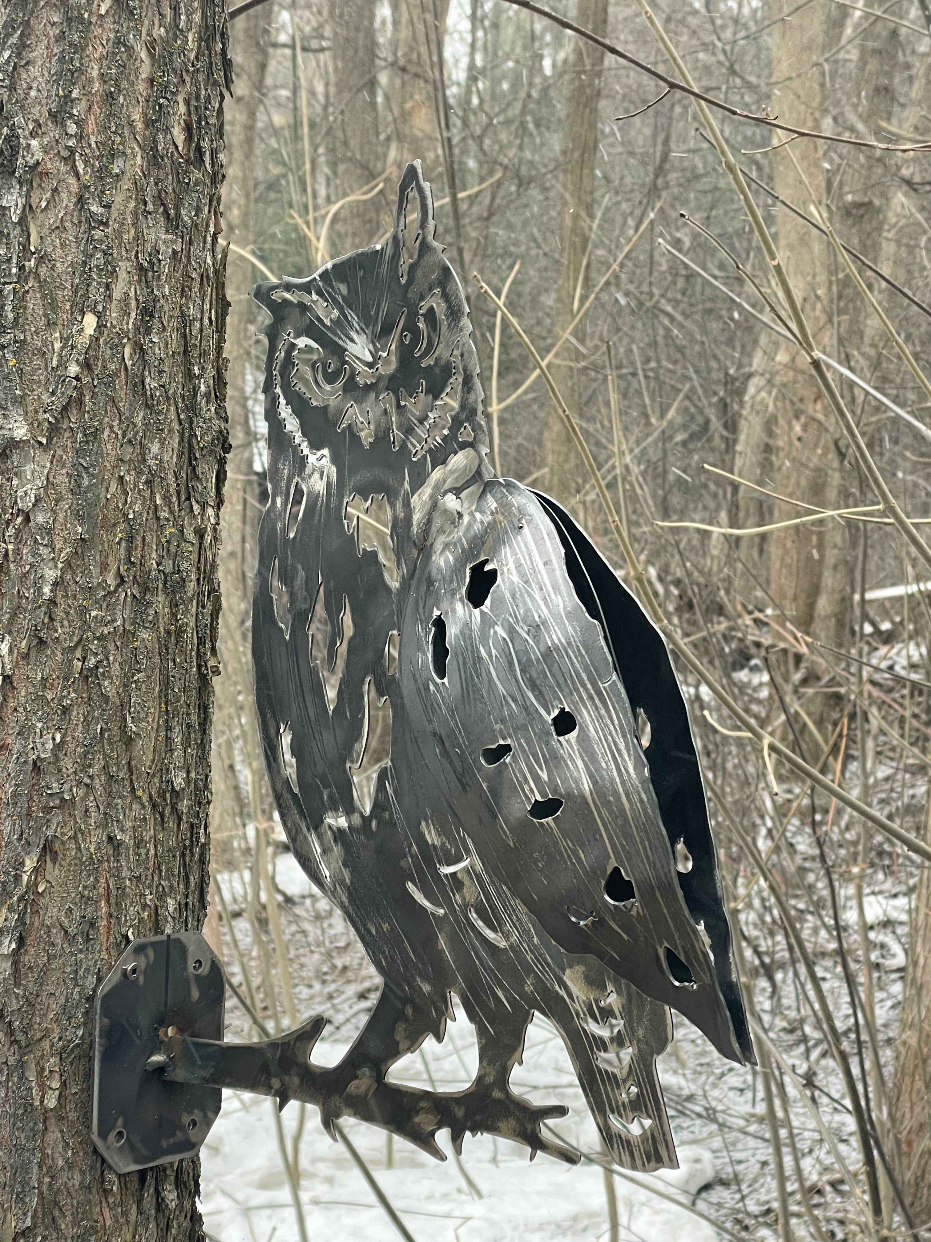 Great Horned Owl - 3D