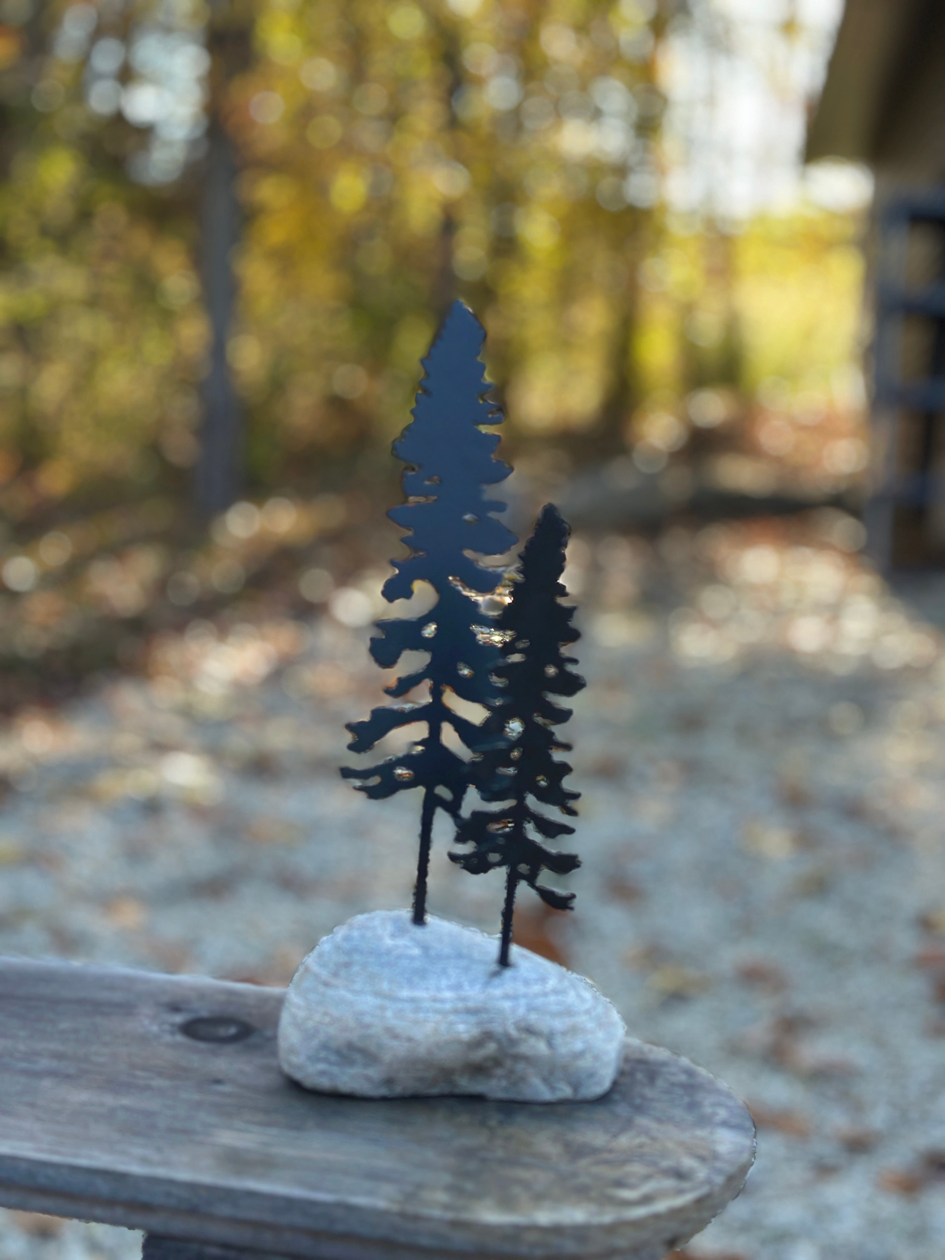 Double Pine Tree in a Rock