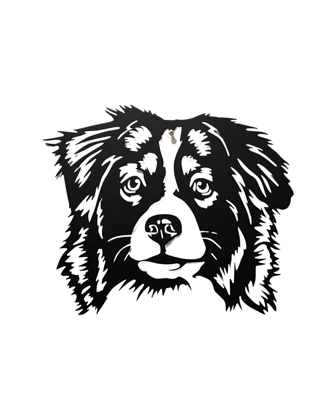 Australian Shepherd (Aussie Dog)