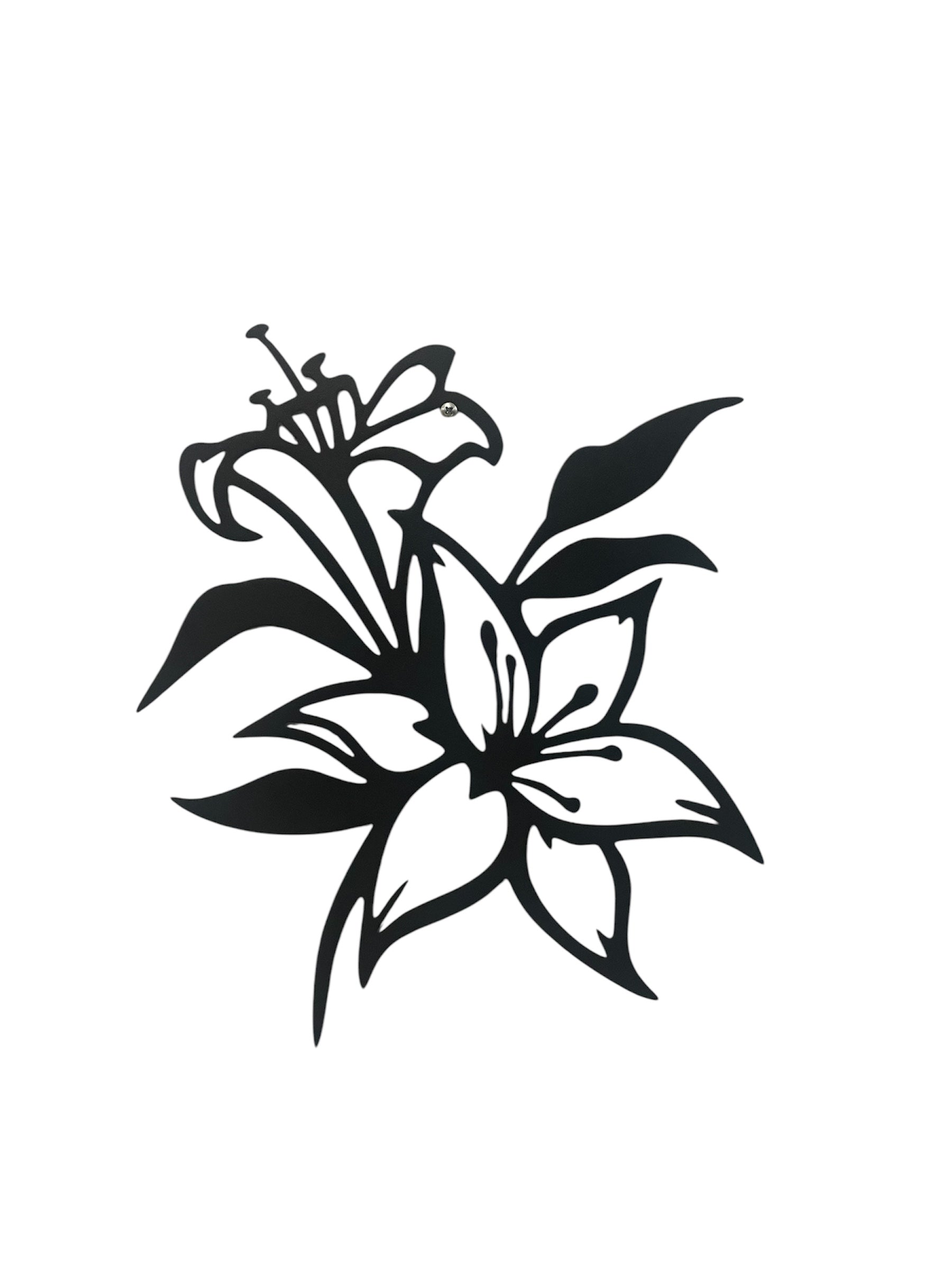 Lily