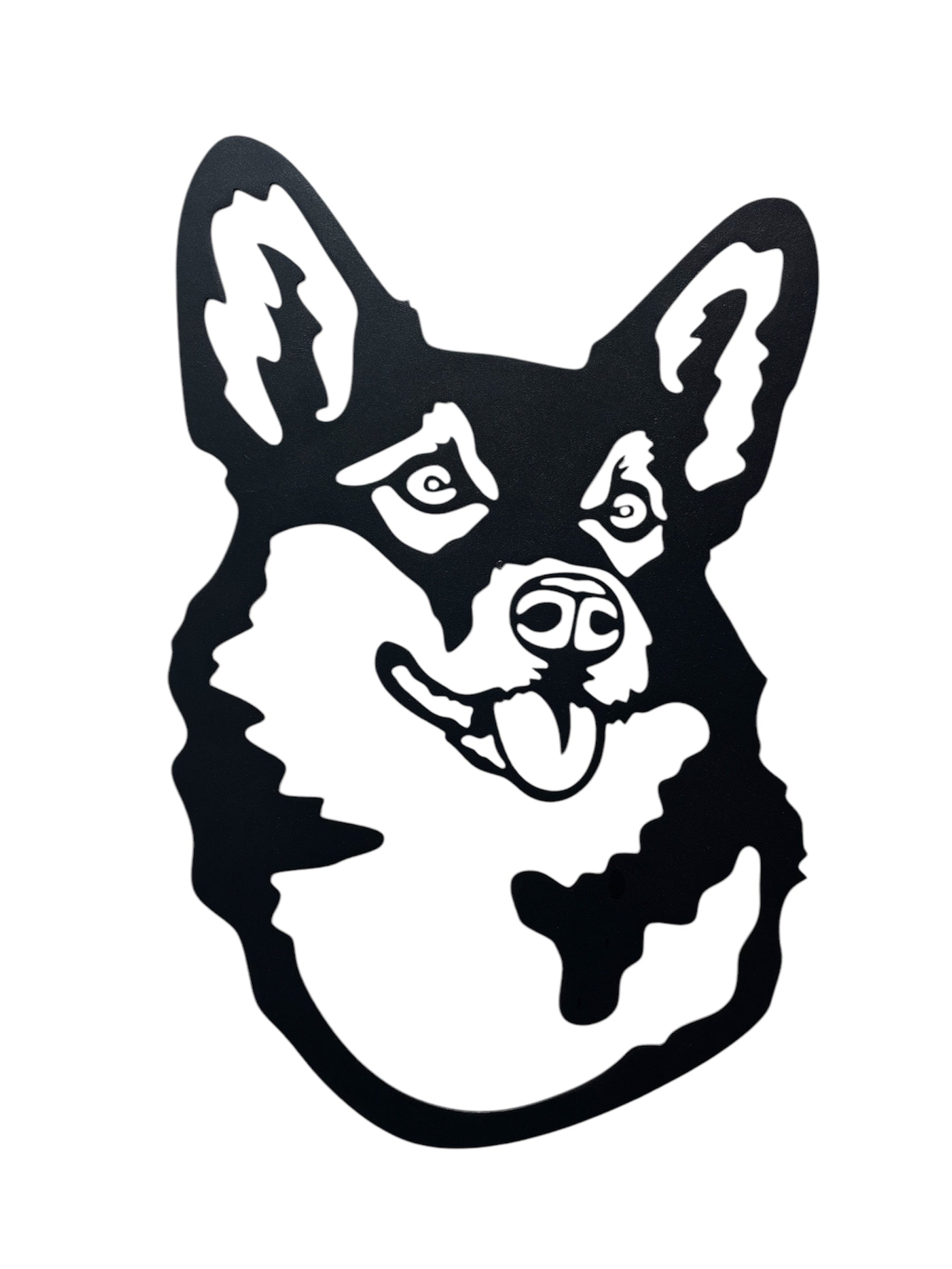 Welsh Corgi (Corgi) Dog