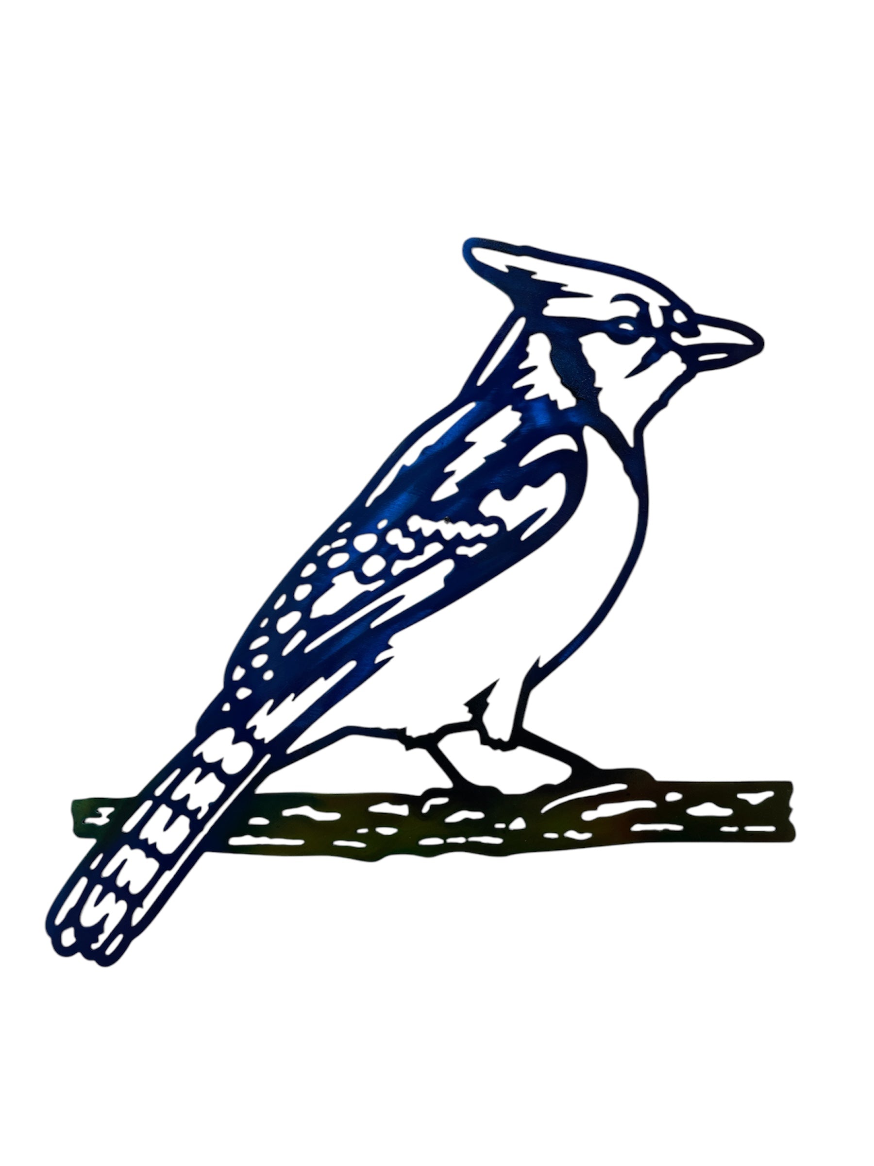 Blue Jay Bird