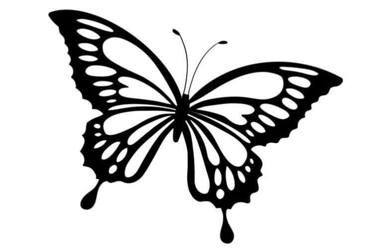 Butterfly Black - MD Metalworx