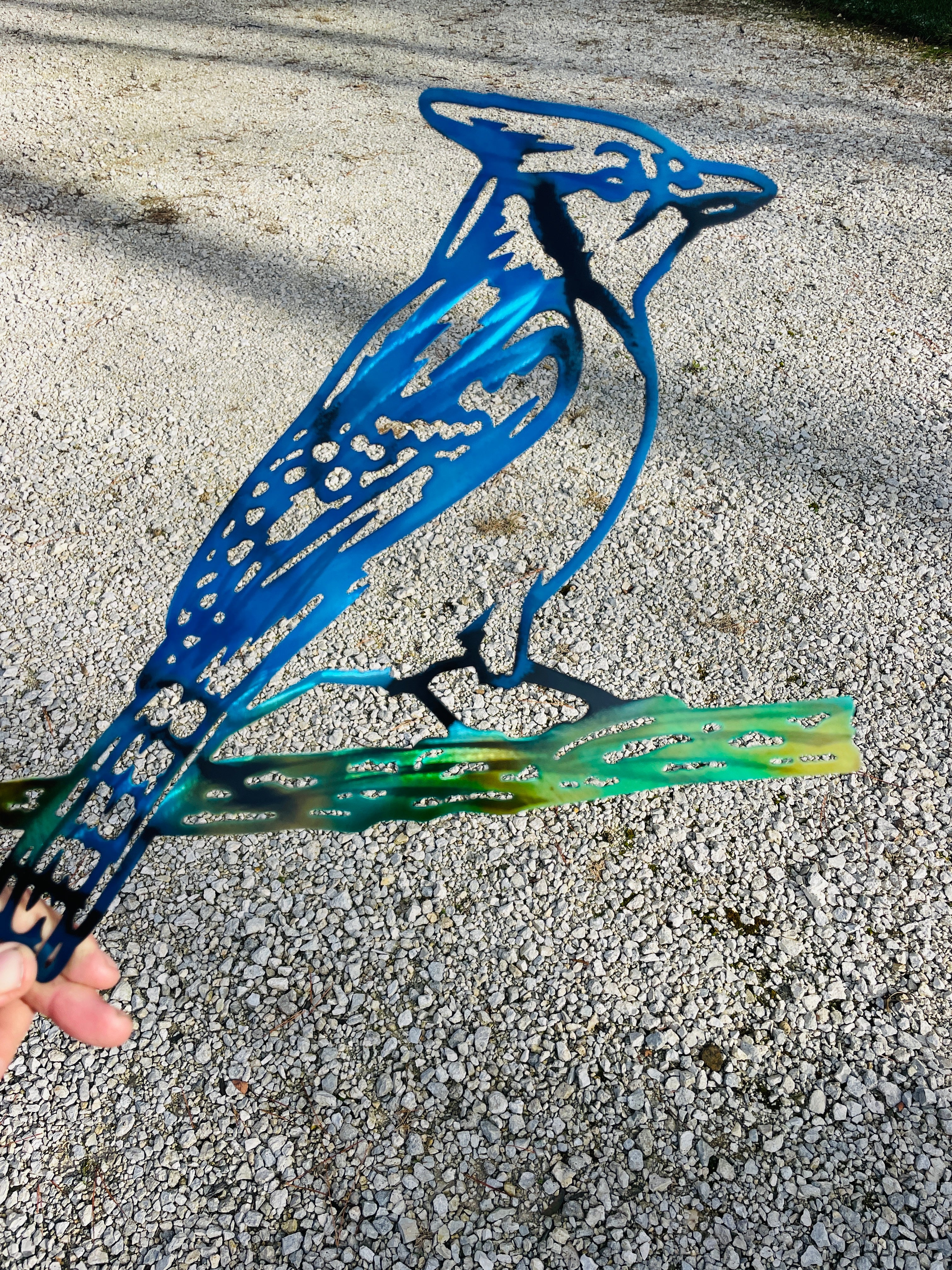 Blue Jay Bird | MD MetalWorx – MD Metalworx
